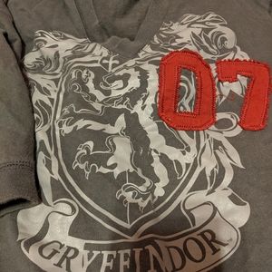 Harry Potter Gryffindor Hoodie